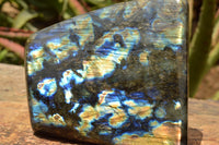 Polished Labradorite Standing Free Form With A Full Face Flash x 1 From Tulear, Madagascar - TopRock