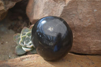 Polished Black Basalt Palm Stones  x 12 From Madagascar