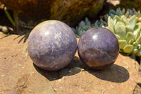 Polished Purple Lepidolite Mica Spheres  x 4 From Madagascar - TopRock