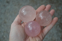 Polished Rare Star Rose Quartz Spheres  x 6 From Ambatondrazaka, Madagascar - Toprock Gemstones and Minerals 