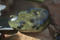 Polished Spotted Leopard Stone Free Forms  x 6 From Zimbabwe - Toprock Gemstones and Minerals 