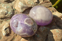 Polished Rare Gemmy Amethyst Palm Stones x 24 From Madagascar - TopRock