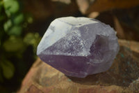 Natural Single Jacaranda Amethyst Crystals  x 12 From Mumbwe, Zambia - Toprock Gemstones and Minerals 