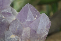 Natural Jacaranda Amethyst Cluster x 1 From Mumbwa, Zambia - TopRock