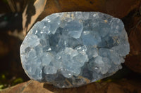 Natural Blue Celestite Crystal Specimens  x 2 From Sakoany, Madagascar - Toprock Gemstones and Minerals 