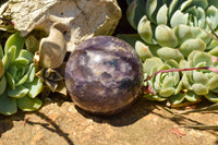 Polished Purple Lepidolite Mica Spheres  x 6 From Madagascar - TopRock