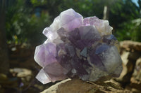 Natural Large Jacaranda Amethyst Cluster  x 1 From Mumbwa, Zambia - Toprock Gemstones and Minerals 