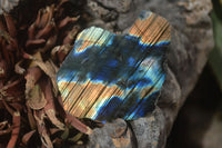 Polished One Side Polished Labradorite Pieces x 24 From Tulear, Madagascar