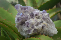 Natural Sugar Amethyst Clusters  x 4 From Solwezi, Zambia