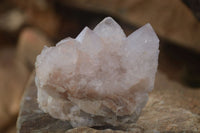 Natural Spirit Cactus Flower Quartz Clusters x 6 From Boekenhouthoek, South Africa