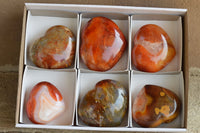 Natural Beautiful Selection Of Large Carnelian Agate Hearts  x 6 From Madagascar - TopRock