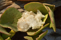 Natural Small Quartz Clusters With Long Intact Crystals  x 24 From Mandrosonoro, Madagascar - TopRock