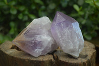 Natural Single Jacaranda Amethyst Crystals  x 12 From Zambia - Toprock Gemstones and Minerals 