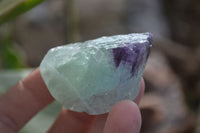 Natural Rough Watermelon Fluorite Cobbed Specimens  x 35 From Namibia