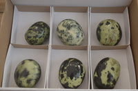 Polished Leopard Stone Palm Stones  x 6 From Zimbabwe