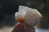 Natural White Spirit Quartz Crystals x 24 From Boekenhouthoek, South Africa