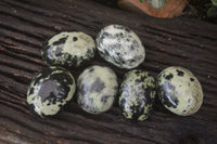 Polished Leopard Stone Palm Stones  x 6 From Zimbabwe