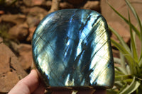 Polished Labradorite Standing Free Forms With Intense Blue & Gold Flash x 2 From Sakoany, Madagascar - TopRock