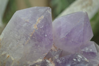 Natural Jacaranda Amethyst Cluster x 1 From Mumbwa, Zambia - TopRock