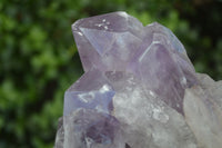 Natural Jacaranda Amethyst Crystal Clusters  x 2 From Mumbwa, Zambia - Toprock Gemstones and Minerals 