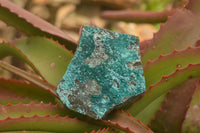 Natural Mixed Chrysocolla Dolomite Specimens (Some With Malachite) x 7 From Congo - TopRock