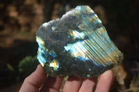 Polished One Side Polished Labradorite Slices  x 6 From Tulear, Madagascar