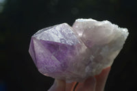 Natural Jacaranda Amethyst Clusters  x 3 From Mumbwa, Zambia - Toprock Gemstones and Minerals 