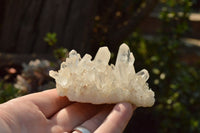 Natural Small Quartz Clusters With Long Intact Crystals  x 24 From Mandrosonoro, Madagascar - TopRock