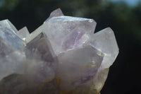 Natural Jacaranda Amethyst Clusters x 2 From Mumbwa, Zambia - TopRock