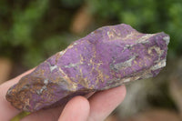 Natural Selected Rough Purpurite Specimens  x 6 From Namibia - TopRock