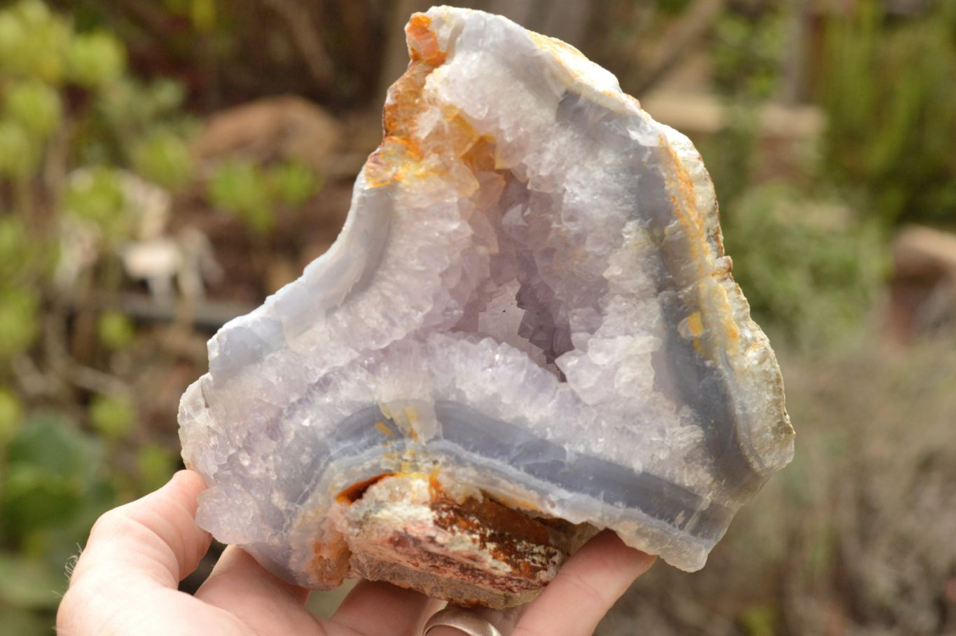 Magnificent amethyst in an agate geode from Uruguay on its wooden