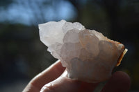 Natural White Spirit Quartz Crystals x 24 From Boekenhouthoek, South Africa