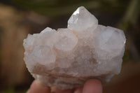 Natural Spirit Cactus Flower Quartz Clusters x 6 From Boekenhouthoek, South Africa