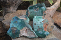 Polished Green Mtorolite / Chrome Chrysoprase Plates  x 3 From Zimbabwe - Toprock Gemstones and Minerals 