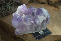 Natural Large Jacaranda Amethyst Cluster  x 1 From Mumbwa, Zambia - Toprock Gemstones and Minerals 