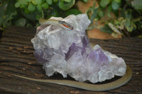 Natural Jacaranda Amethyst Clusters  x 2 From Zambia - Toprock Gemstones and Minerals 