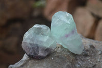 Natural Rough Watermelon Fluorite Cobbed Specimens  x 35 From Namibia