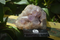 Natural Jacaranda Amethyst Clusters  x 2 From Mumbwa, Zambia - TopRock