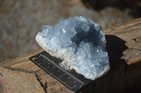 Natural Blue Celestite Crystal Specimens  x 2 From Sakoany, Madagascar - Toprock Gemstones and Minerals 