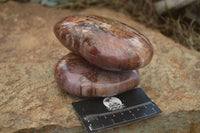 Polished Extra Large Petrified Podocarpus Wood Hearts  x 2 From Mahajanga, Madagascar - TopRock