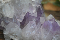 Natural Jacaranda Amethyst Clusters  x 2 From Zambia - Toprock Gemstones and Minerals 