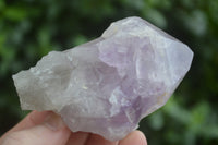 Natural Single Zambian Jacaranda Amethyst Points - Sold per 1.6 kg (24 points per tray) - From Mumbwa, Zambia - TopRock