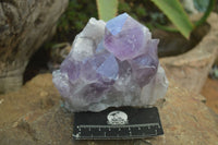 Natural Jacaranda Amethyst Crystal Clusters  x 2 From Mumbwa, Zambia - Toprock Gemstones and Minerals 