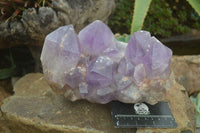 Natural Jacaranda Amethyst Cluster x 1 From Mumbwa, Zambia - TopRock