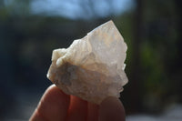 Natural White Spirit Quartz Crystals x 24 From Boekenhouthoek, South Africa