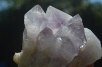 Natural Jacaranda Amethyst Clusters x 2 From Mumbwa, Zambia - TopRock