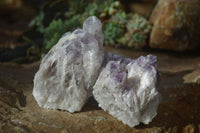 Natural Sugar Amethyst Clusters  x 4 From Solwezi, Zambia