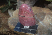 Polished Pink Rhodonite Standing Free Forms x 3 From Madagascar