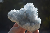 Natural Blue Celestite Crystal Specimens  x 2 From Sakoany, Madagascar - Toprock Gemstones and Minerals 