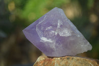 Natural Single Jacaranda Amethyst Crystals  x 12 From Mumbwe, Zambia - Toprock Gemstones and Minerals 